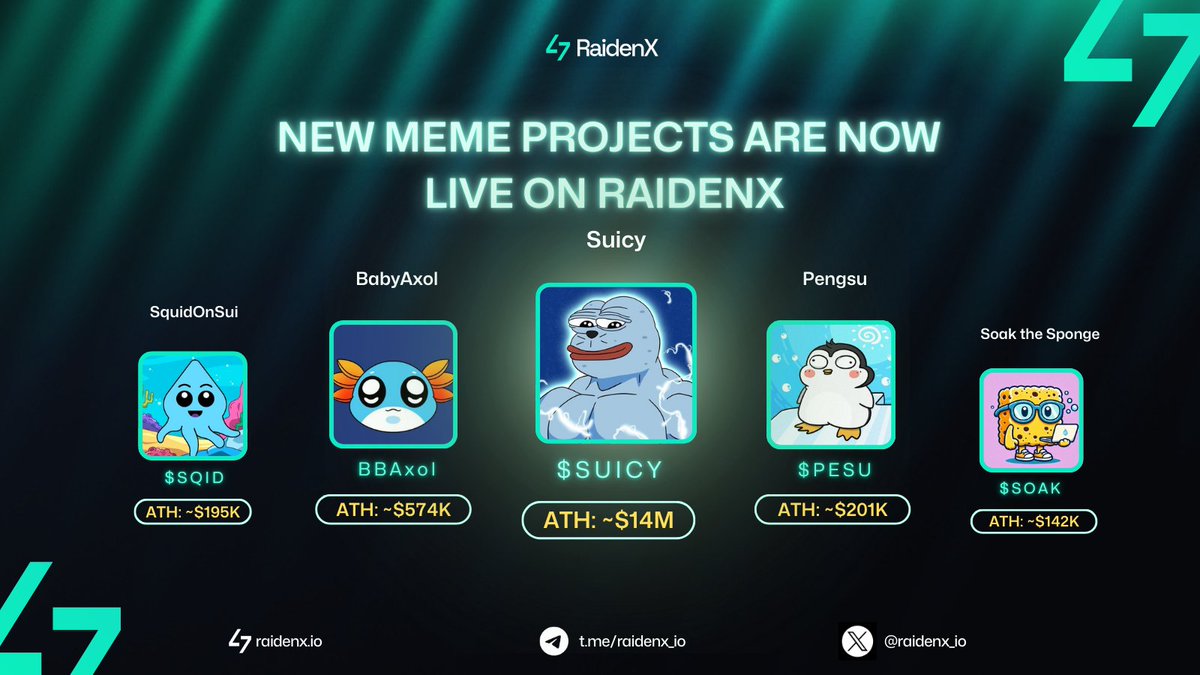 RaidenX Labs tweet media