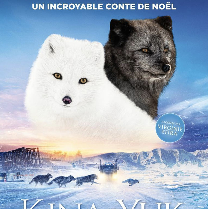 🎬 Programación #Filmoteca de Andalucía #CórdobaESP para esta semana
Consulta la #Cartelera ⤵️
bit.ly/3AoCJR6