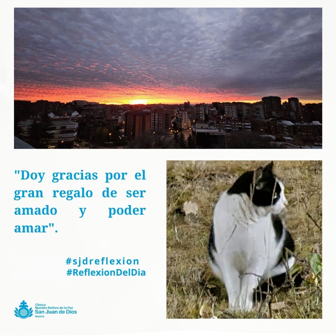 "Doy gracias por el gran regalo de ser amado y poder amar". 
#ReflexionDelDia #sjdreflexion