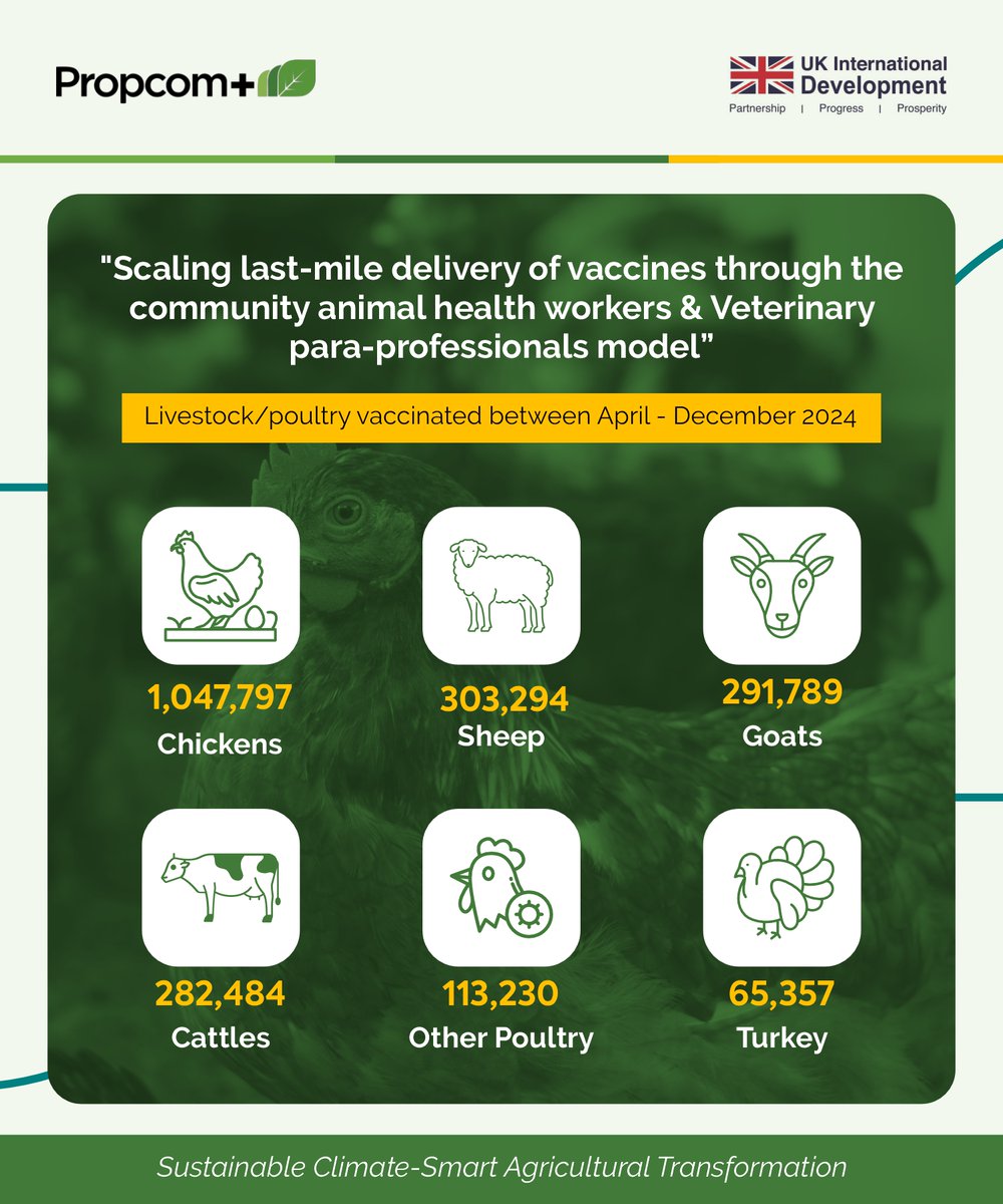 Propcomplus's tweet image. Our 2024 Progress Updates:
Empowering rural farmers through veterinary care.
Our Community Animal Health Workers (CAHW) &amp;amp; Veterinary Para-Professionals (VPP) model ensures last-mile delivery of vaccines &amp;amp; animal health services.
#AnimalHealth #RuralEntrepreneurs #PropcomPlus
