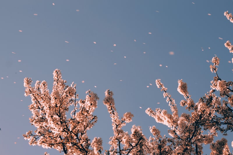MindfulBangor's tweet image. Learn how to bring mindfulness deeper into your life and work with a degree @BangorUni
Join us tomorrow January 14th at 12.30, there is an online open day sessions hosted by @DrGemGriffith where you can discover more about the master's in mindfulness
bangor.ac.uk/centre-for-min…