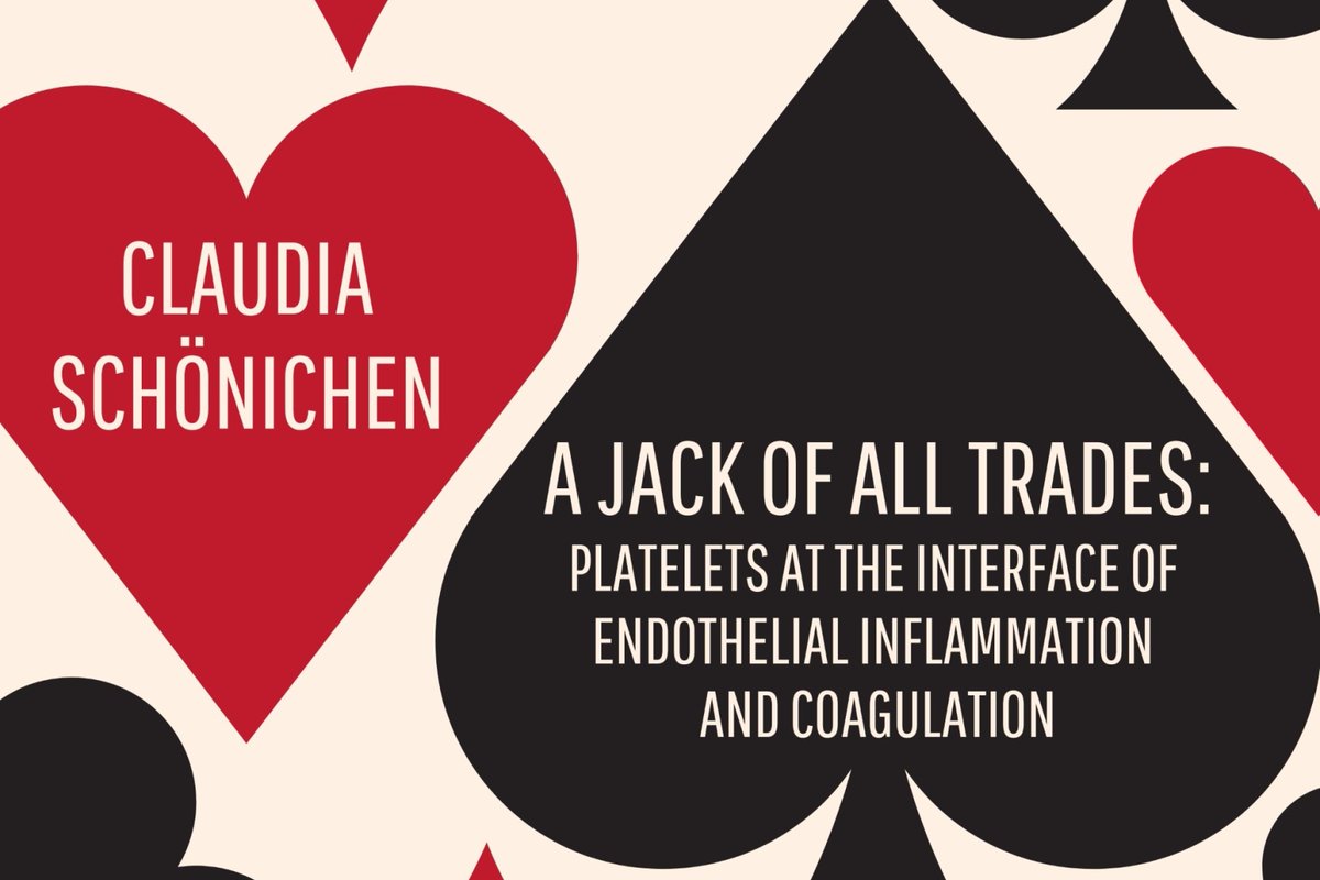 CARIM (@carimmaastricht) on Twitter photo #thesisdefence Tomorrow, Claudia Schönichen will defend the thesis 'A jack of all trades: Platelets at the interface of endothelial inflammation and coagulation' at 16:00h <a href="/MaastrichtU/">Maastricht University</a>
📺youtube.com/@UMphddefense/…
#phdlife #thesisdefence Tomorrow, Claudia Schönichen will defend the thesis 'A jack of all trades: Platelets at the interface of endothelial inflammation and coagulation' at 16:00h <a href="/MaastrichtU/">Maastricht University</a>
📺youtube.com/@UMphddefense/…
#phdlife