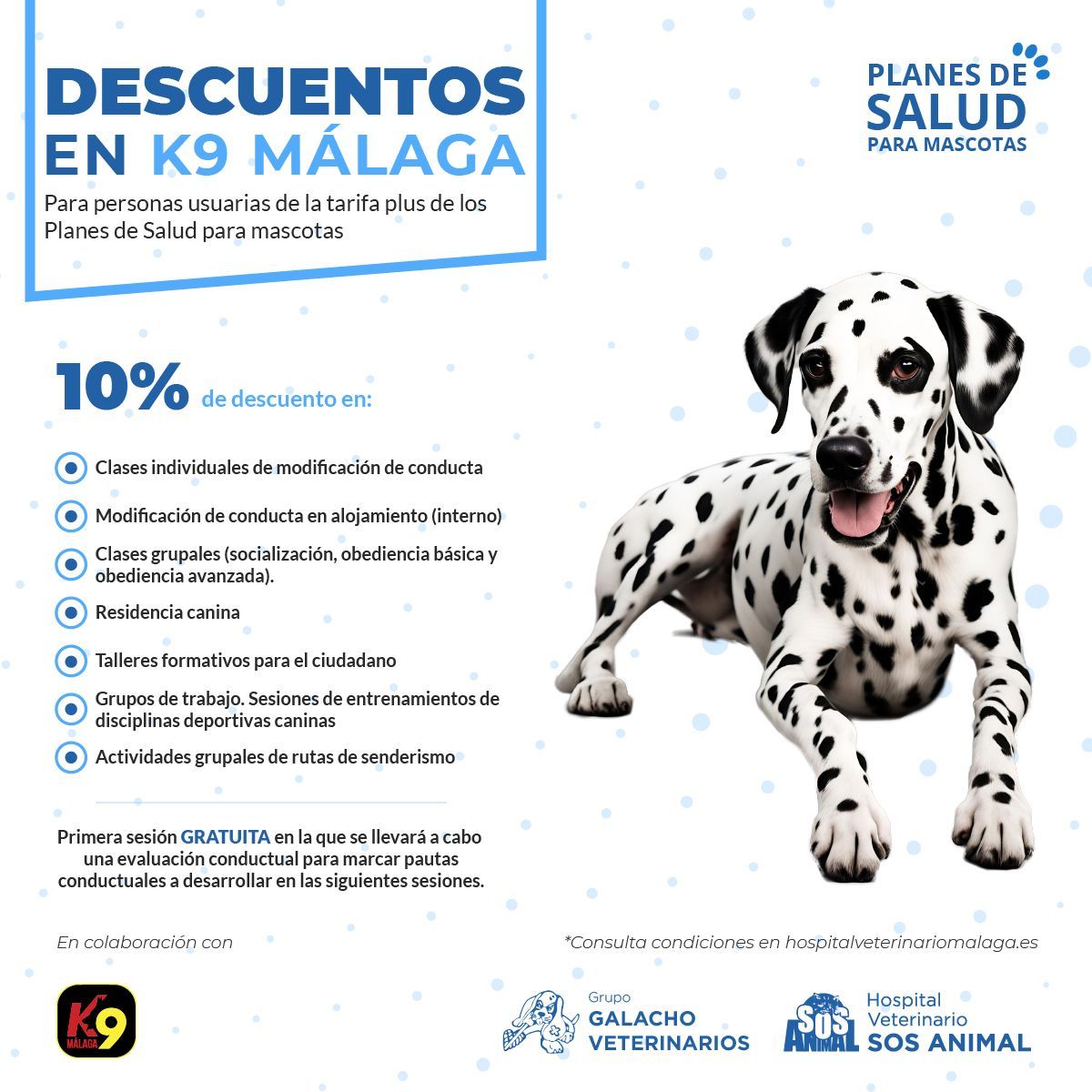 GrupoGalacho's tweet photo. 📣 ¡Descuentos en K9 Málaga!
Los usuarios de la tarifa plus de los planes de salud para mascotas pueden beneficiarse de descuentos en servicios de @k9malaga
➡️ Primera sesión gratuita en la que se llevará a cabo una evaluación conductual.
📞 Inscripciones en 671 31 68 55 https://t.co/8c6TdkjI0I