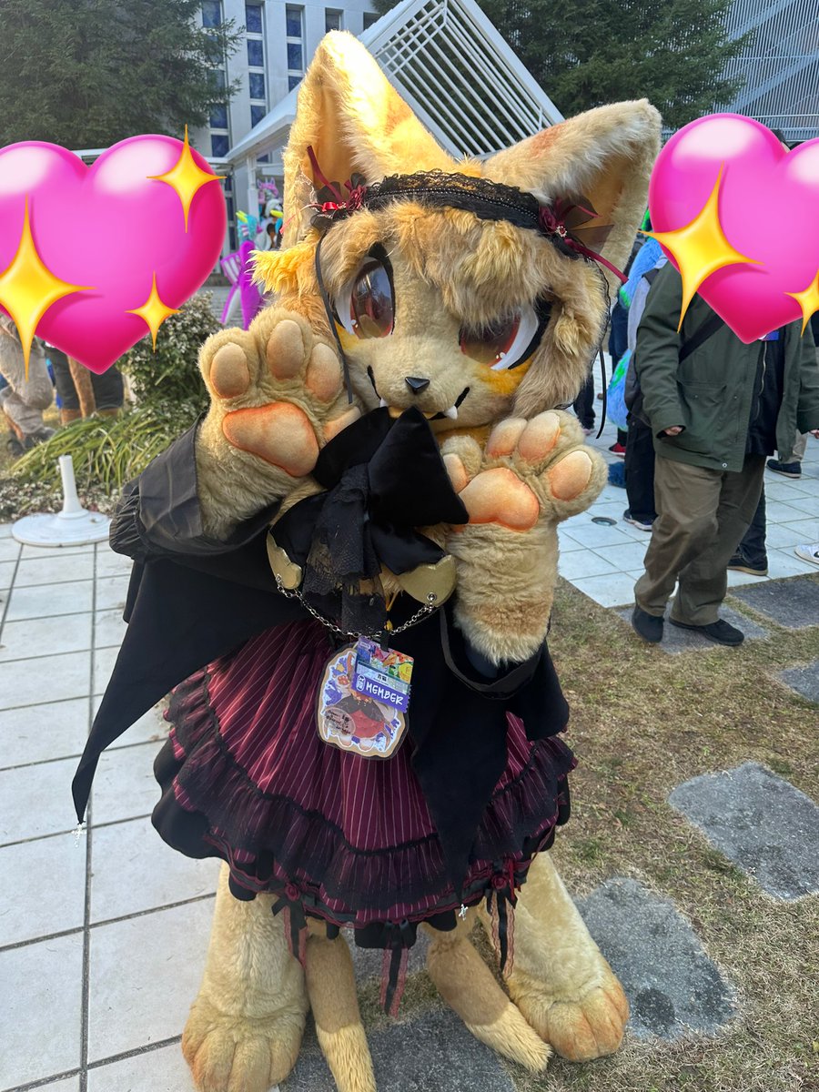 美少女詰め合わせ❣️
#JMoF2025 
<a href="/freon_ribbon/">⋈*.フロン⋈*.</a>