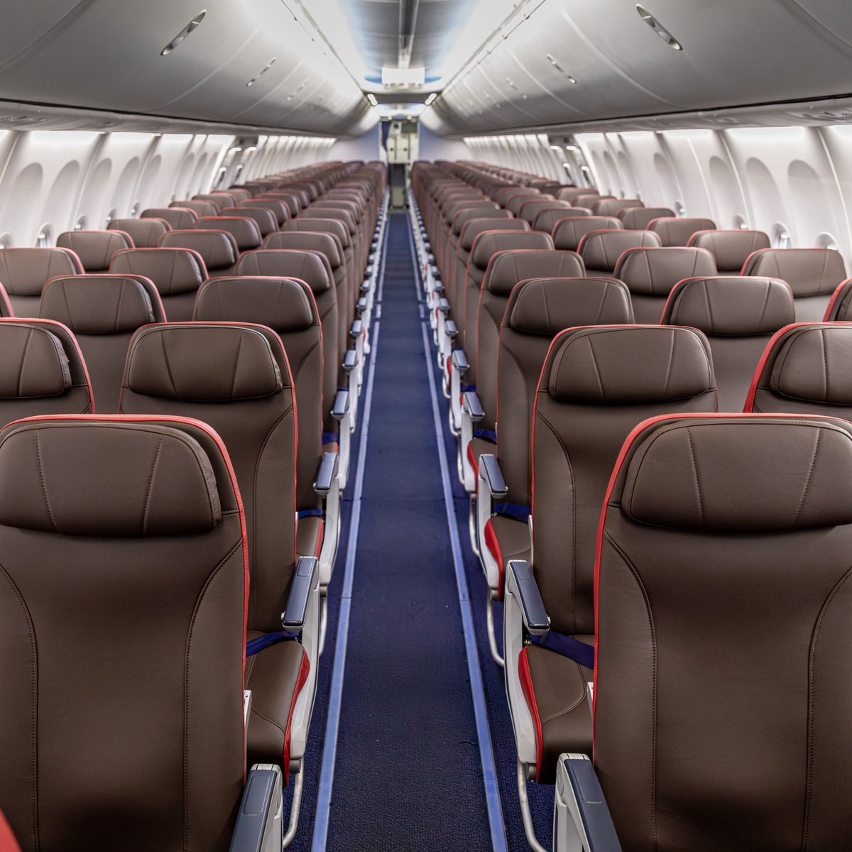 Muirhead tweet media