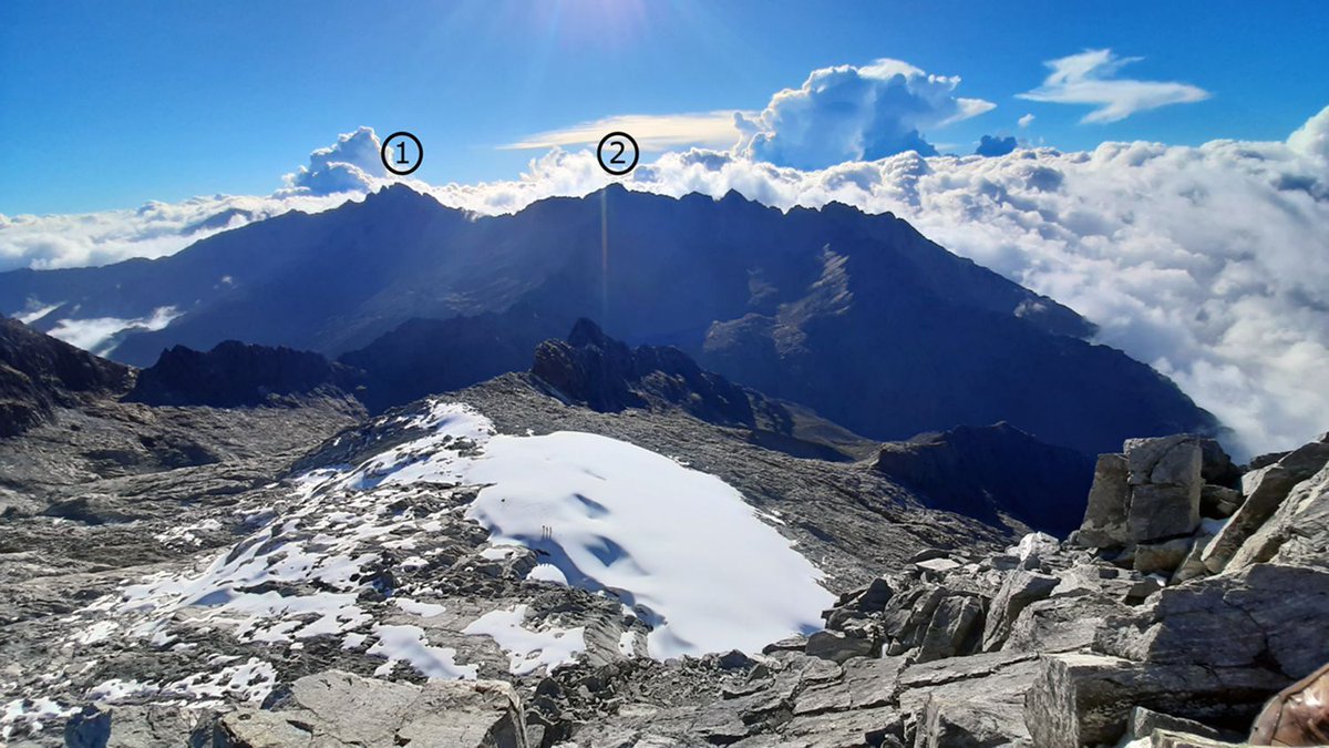 Red List of Ecosystems tweet media