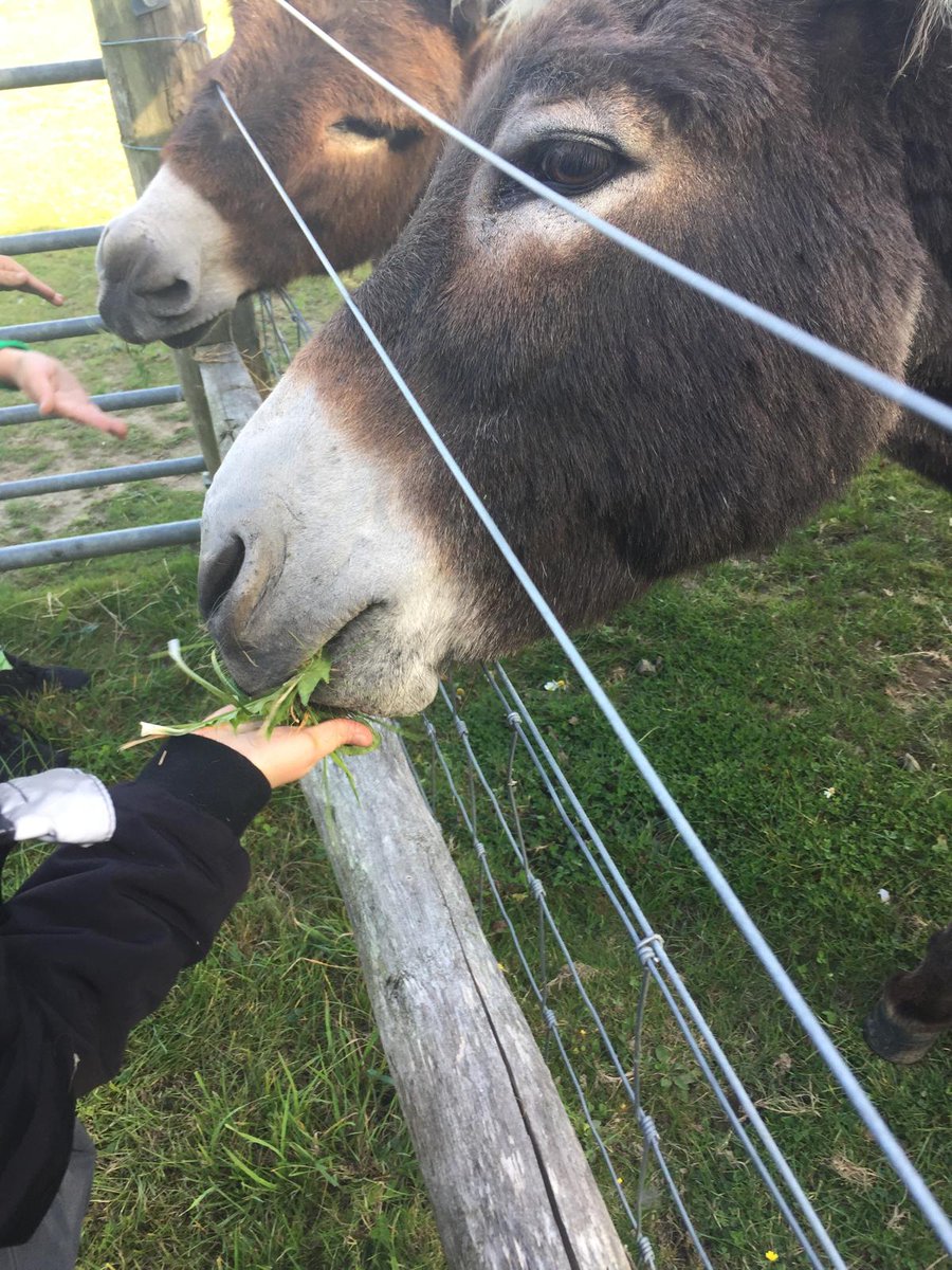 We welcome families &amp; carers to 3 sites in Kent to help children experiencing mental health challenges.

Ask for your child to be referred by your school, GP, or local early help agency 👉 dandeliontime.org.uk/referrals/

#BrighterFuture
#EmpoweringFamilies #KentFamilies #KentParenting