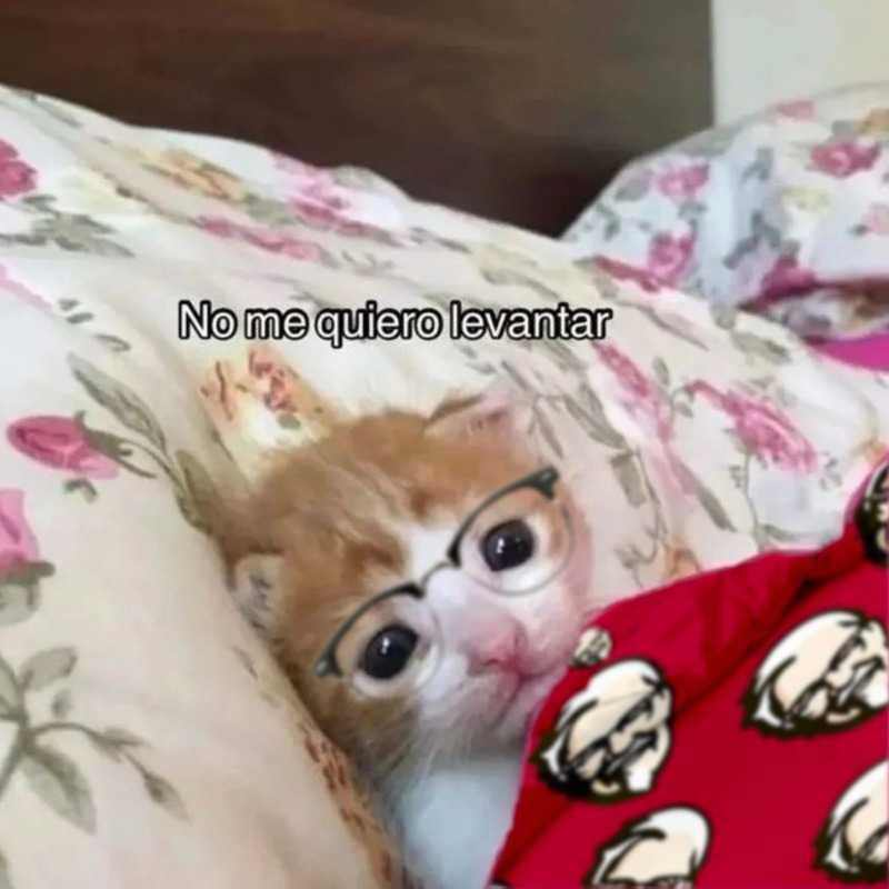 wakey wakey