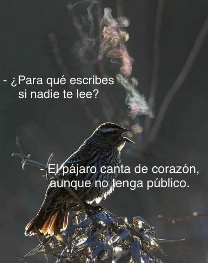 EL CHERRO ZAVALA (@cherrozavala) on Twitter photo 