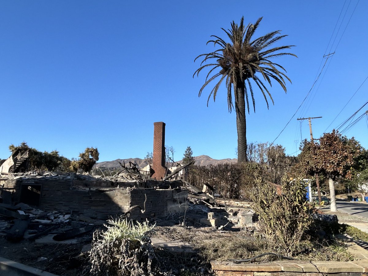 Corine Lesnes tweet media