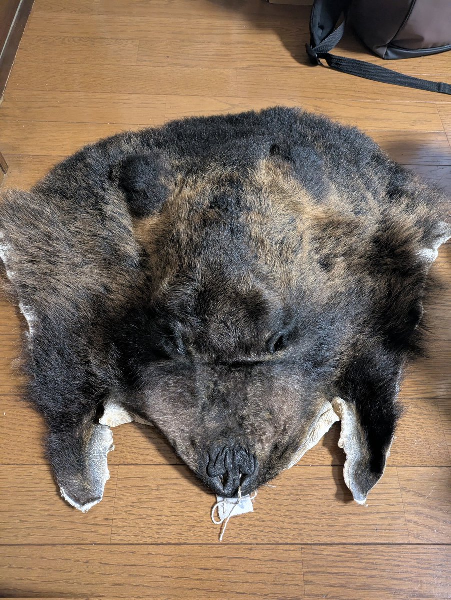 honeoyaji's tweet image. galvanic公式LINEを作成しました。
骨格への加工、メモリアルアクセサリー、毛皮鞣しのご依頼を受け付けております。
お気軽にご相談ください。
lin.ee/CffjyrG