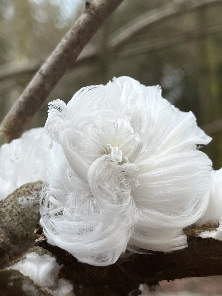 Markus Gaelli tweet media