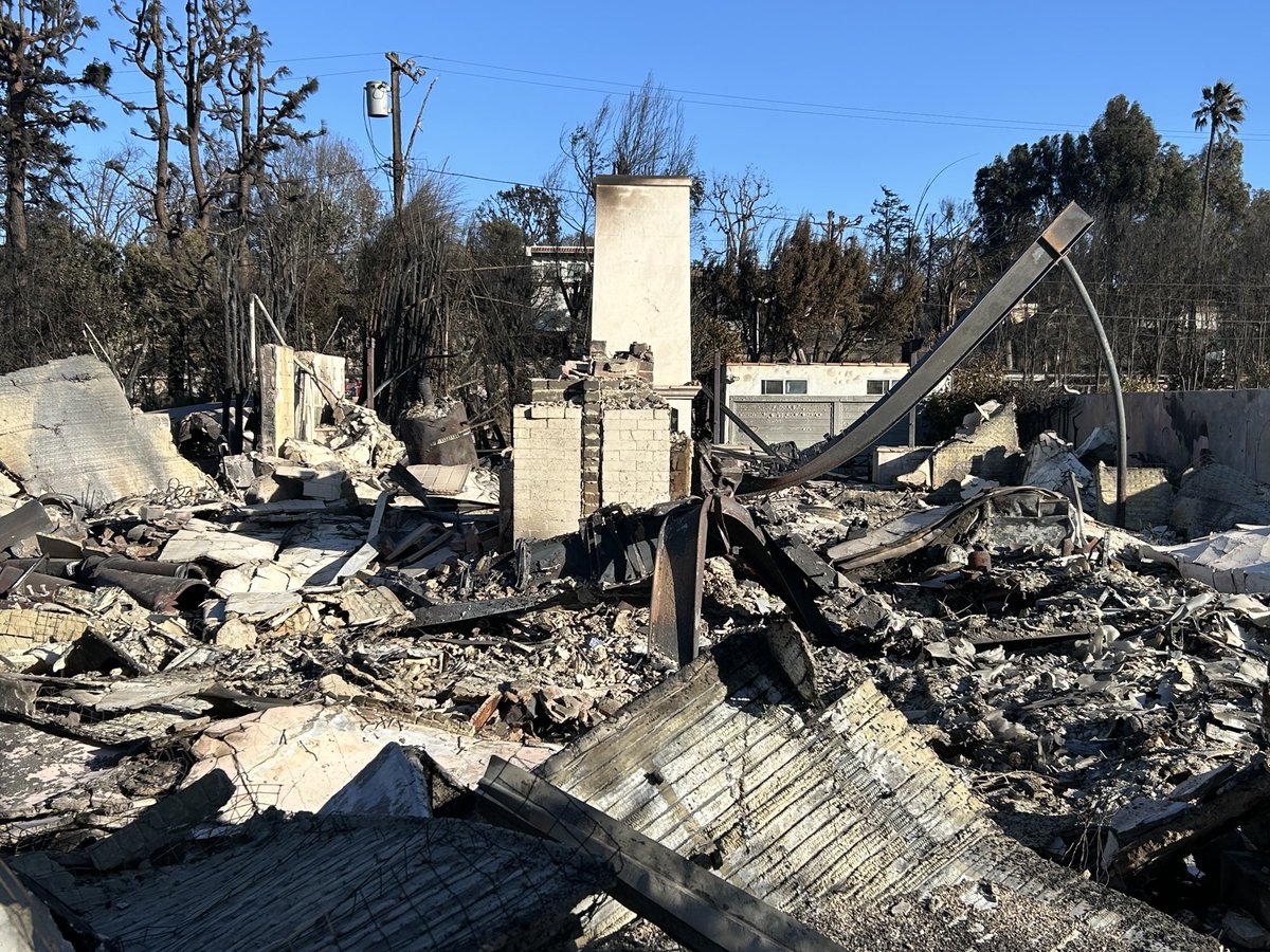 Corine Lesnes tweet media