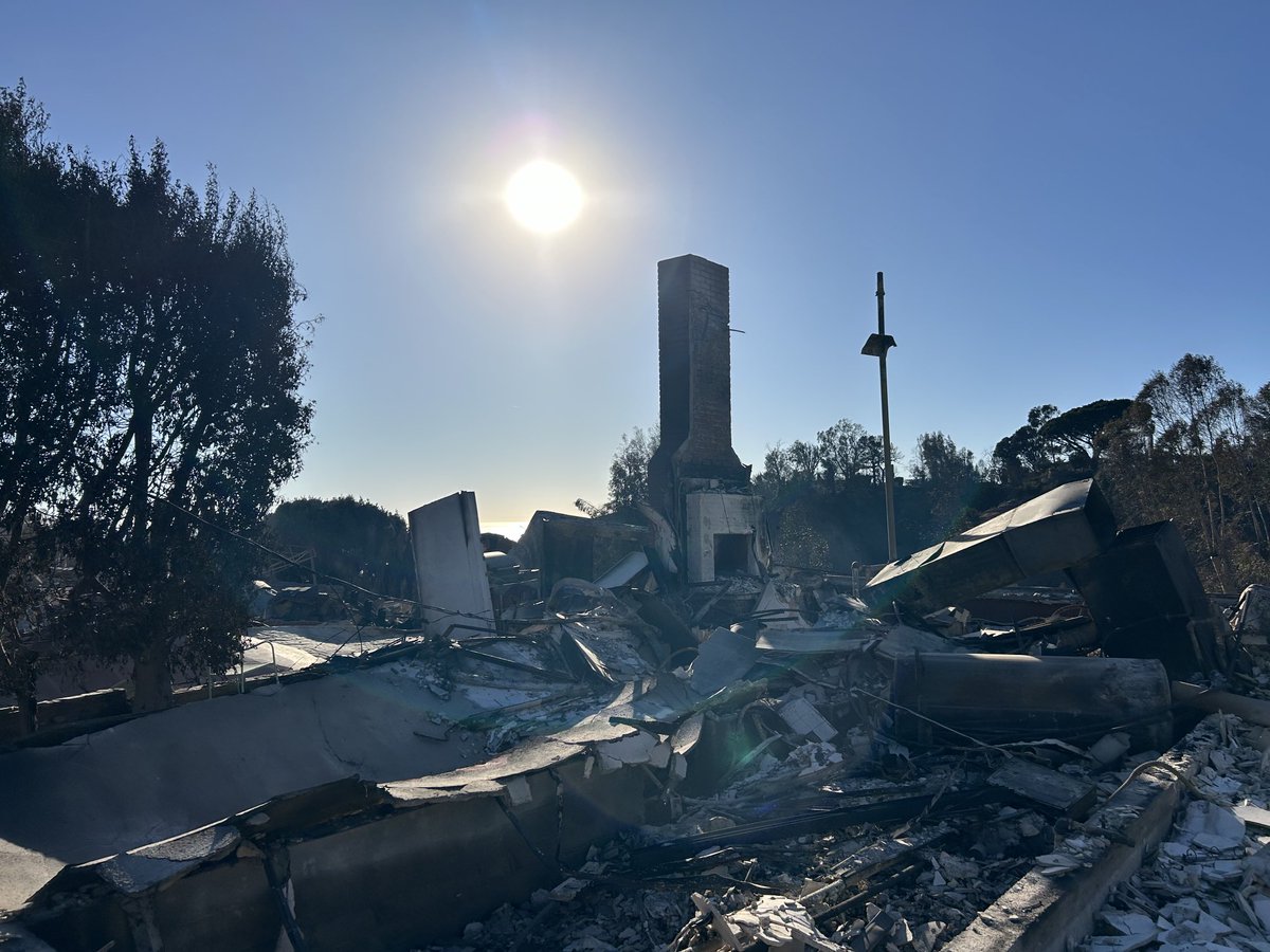 Corine Lesnes tweet media