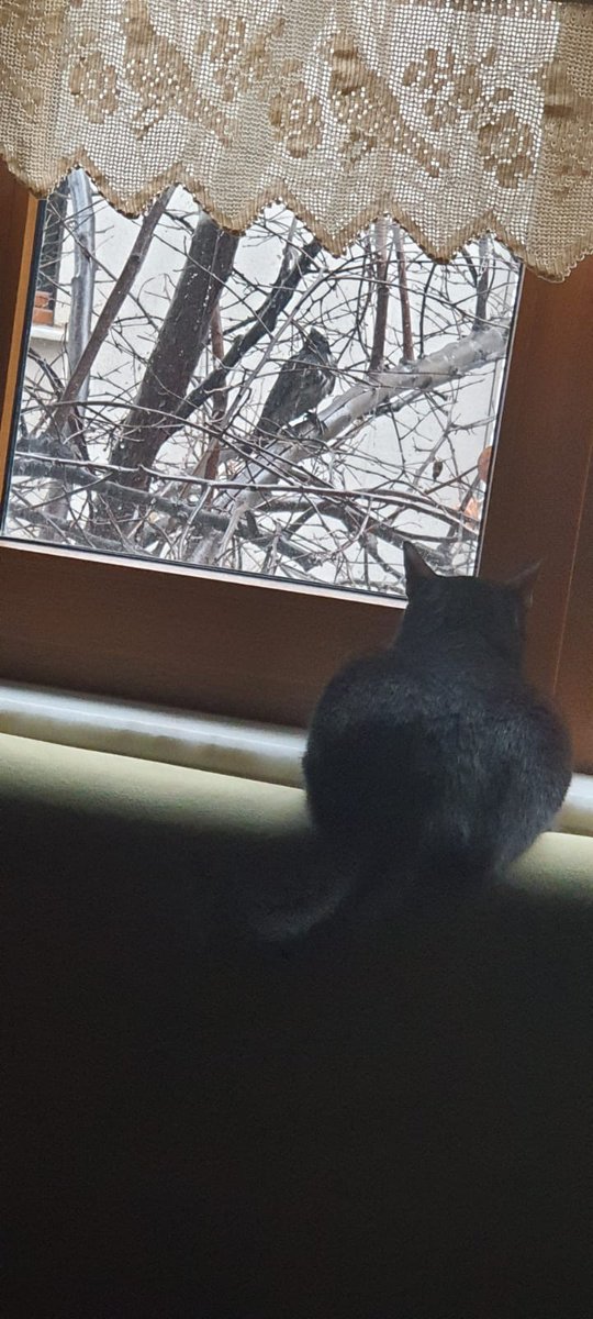 Sabahın aydınlığı.