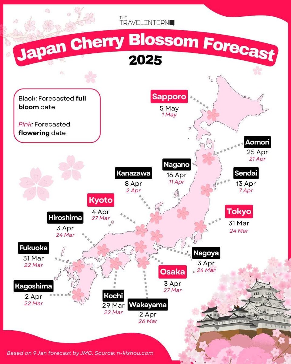 The first 2025 cherry blossom forecast for Japan is out! 🌸🌸🌸