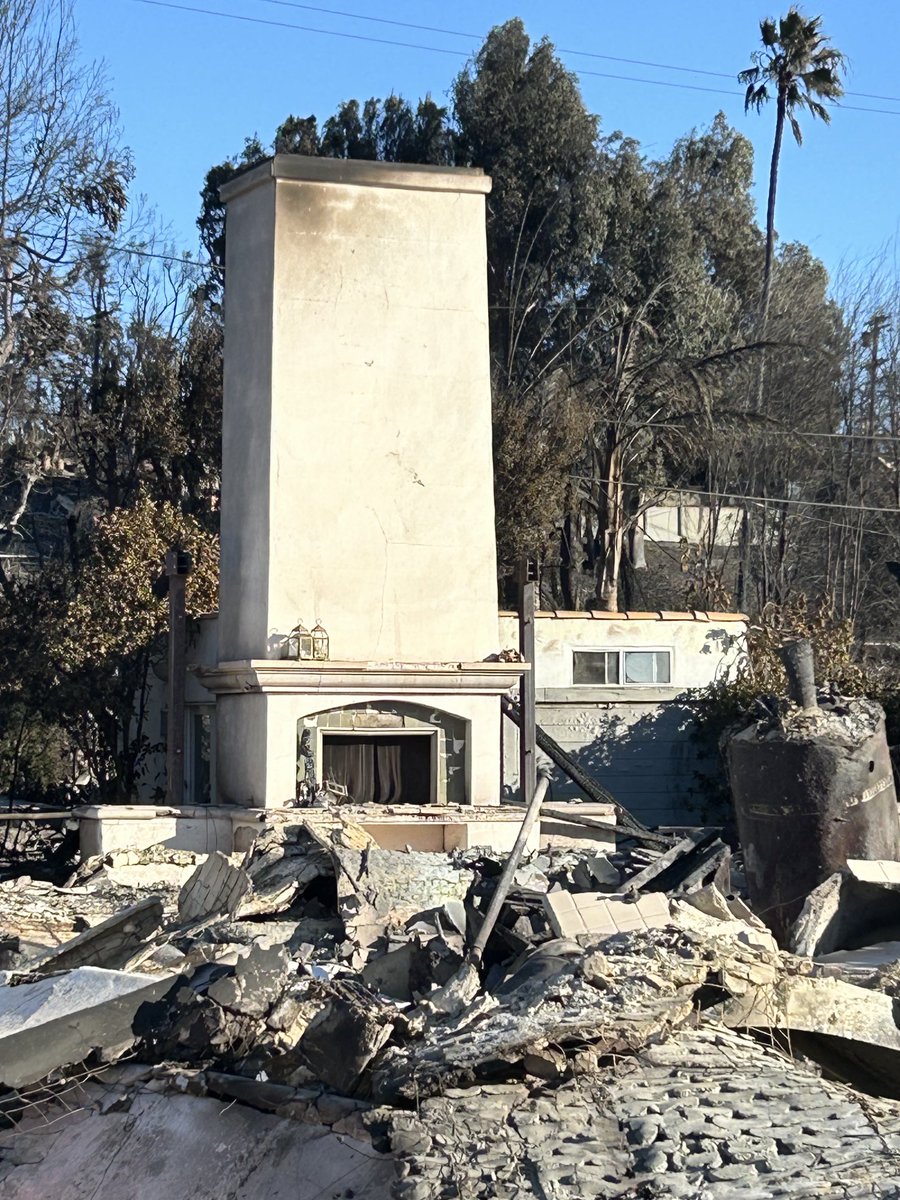 Corine Lesnes tweet media