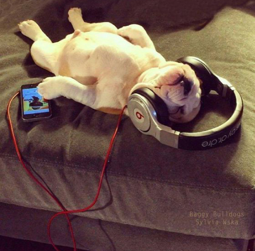 The Procrastinator Times tweet media