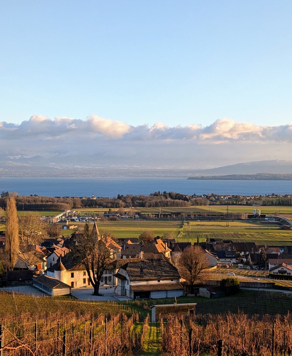 Things could get hairy in financial markets this week.

Quick explanation of what's going on and why we may be about to see a little chaos:

George Washington is wreaking havoc.

The dollar index (DXY) has risen from 100 in September to 110 as of this morning.

That's just shy of