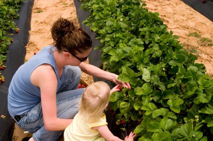 Paul Wilson tweet media