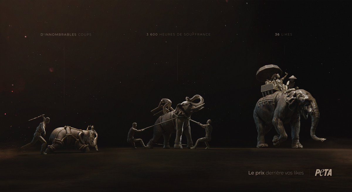 Les éléphants doivent être psychologiquement brisés avant que des humains puissent monter sur leur dos.

Des bébés sont arrachés à leur mère puis isolés et immobilisés, battus et effrayés avec du feu. Une vie de souffrance pour quelques likes sur une photo de vacance… 🐘💔