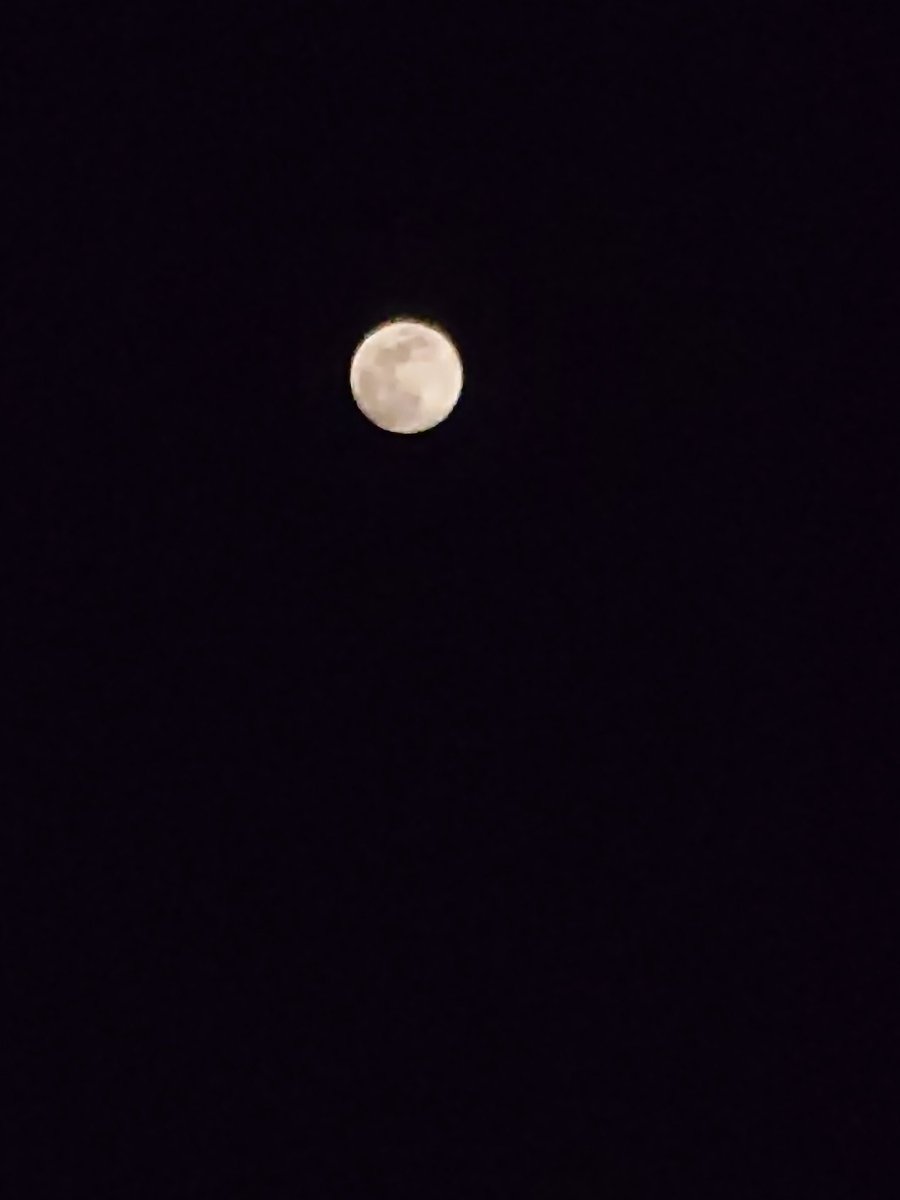 chiakiShimaKimu's tweet photo. 今年最初の満月、美しい🌕️
ウルフムーン
#samemoon https://t.co/Nvc4Kv4o8a
