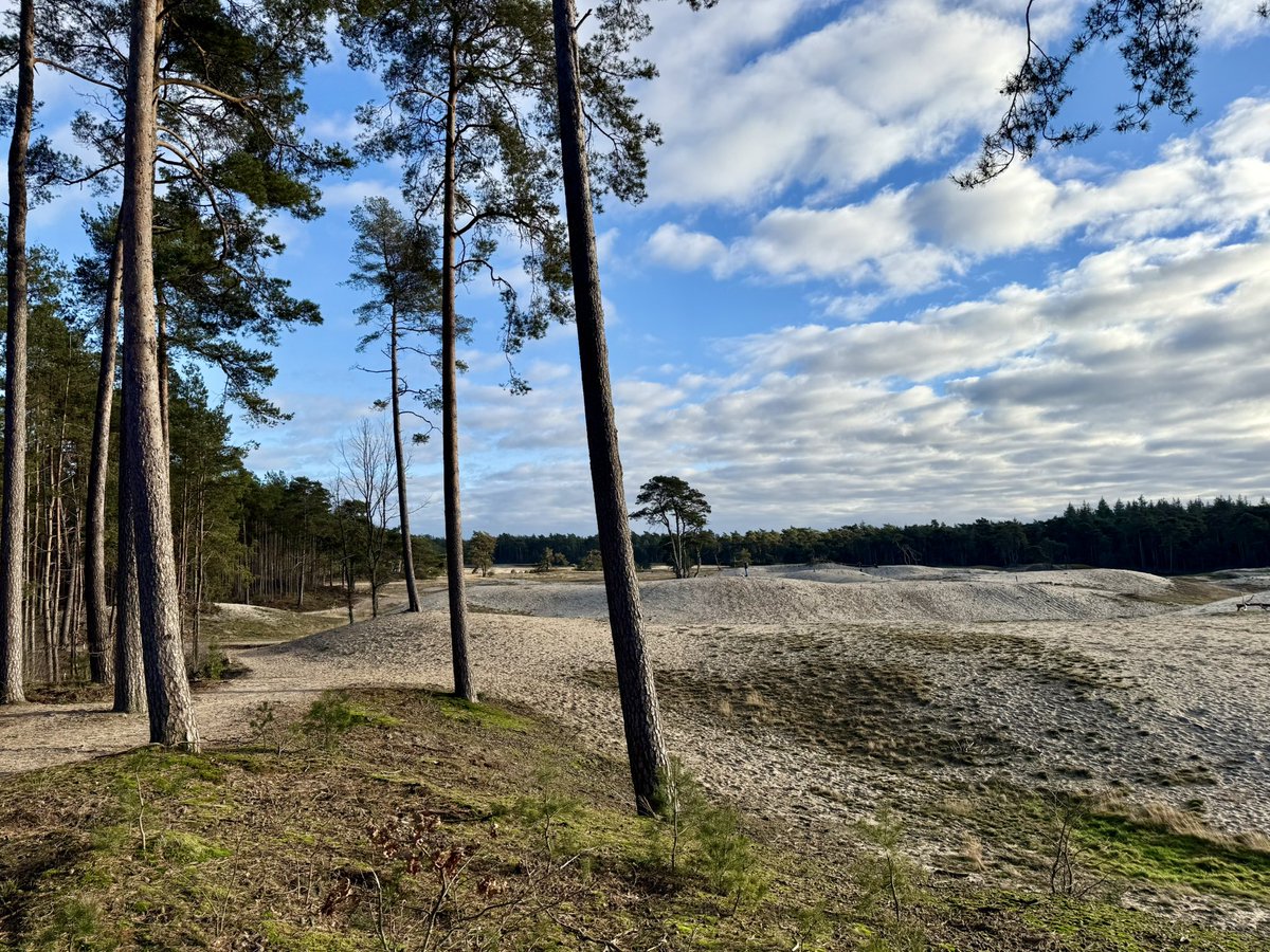 Frank Jongejan 🗽 (@frankjongejan) on Twitter photo 