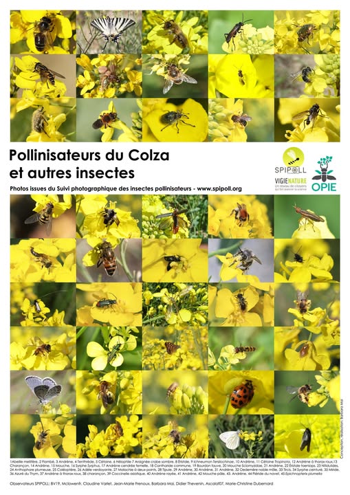 POLE BIO Pays de la Loire tweet media