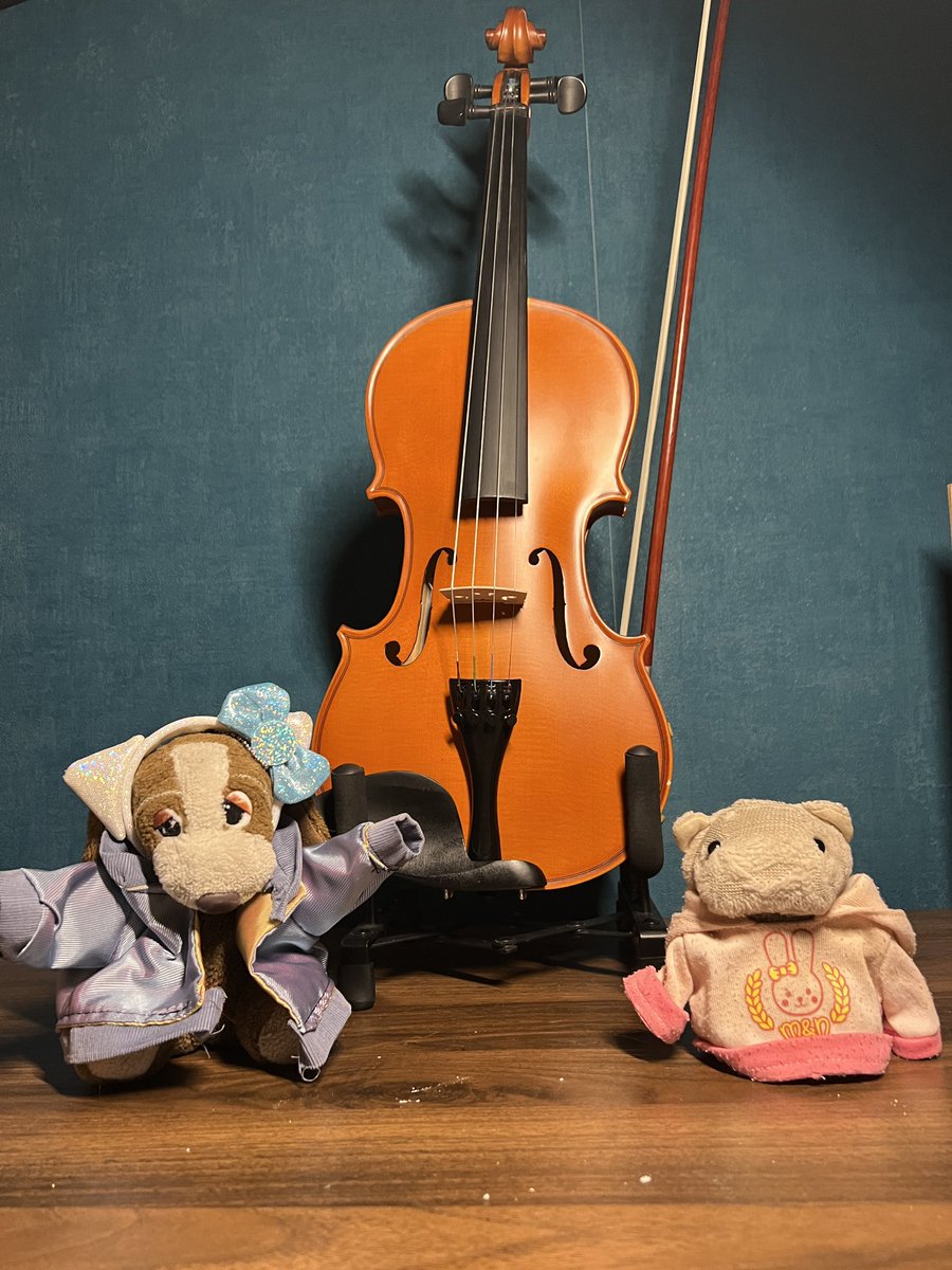 いぬわんたん (@inuwantan) on Twitter photo 