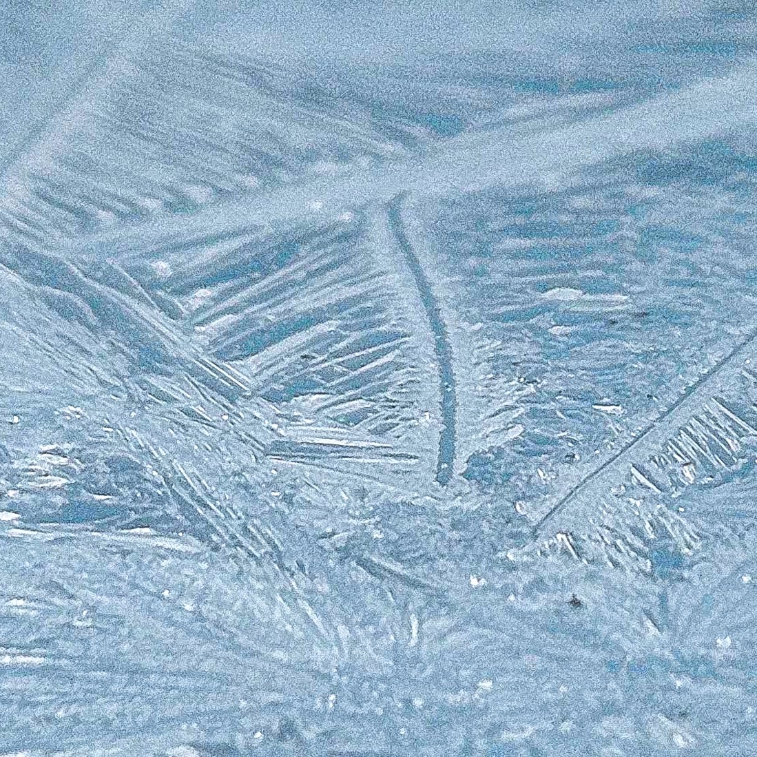 dinobreezy's tweet photo. Goodmorning everyone ☕️ Have a wonderful Monday with these shots of frozen windows ❄️🥶
#goodmorning #MondayMotivation #macromonday #frozen #frozenwindow #frost #winter #cold #icecristals #ice #winterwonderland #photooftheday #photography https://t.co/a8HOT8v8sP