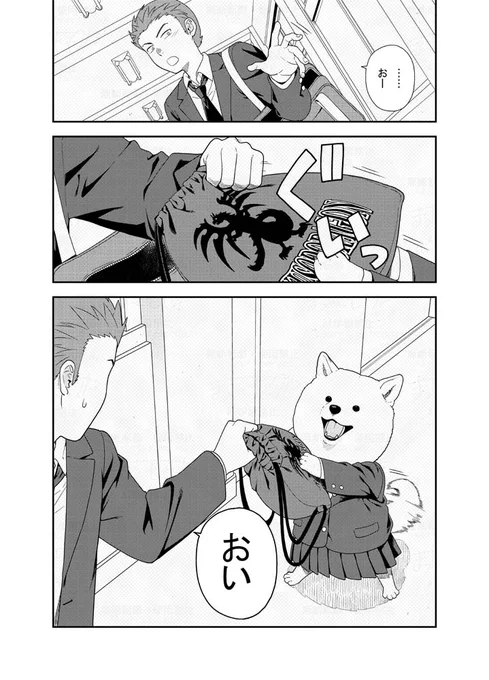 (2/2) 
