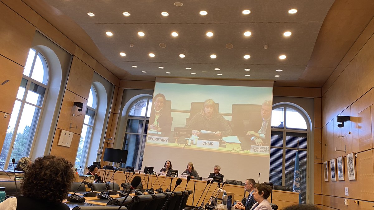 Hoy comenzo la 98ª sesión del Comité de los Derechos de Niño. Serán examinados Ecuador, Eritrea, Gambia, Honduras, Peru, Saint Kitts and Nevis y Eslovaquia. todos Todos los discursos inaugurales han marcado 2024 como el peor año para los derechos del niño en el mundo.