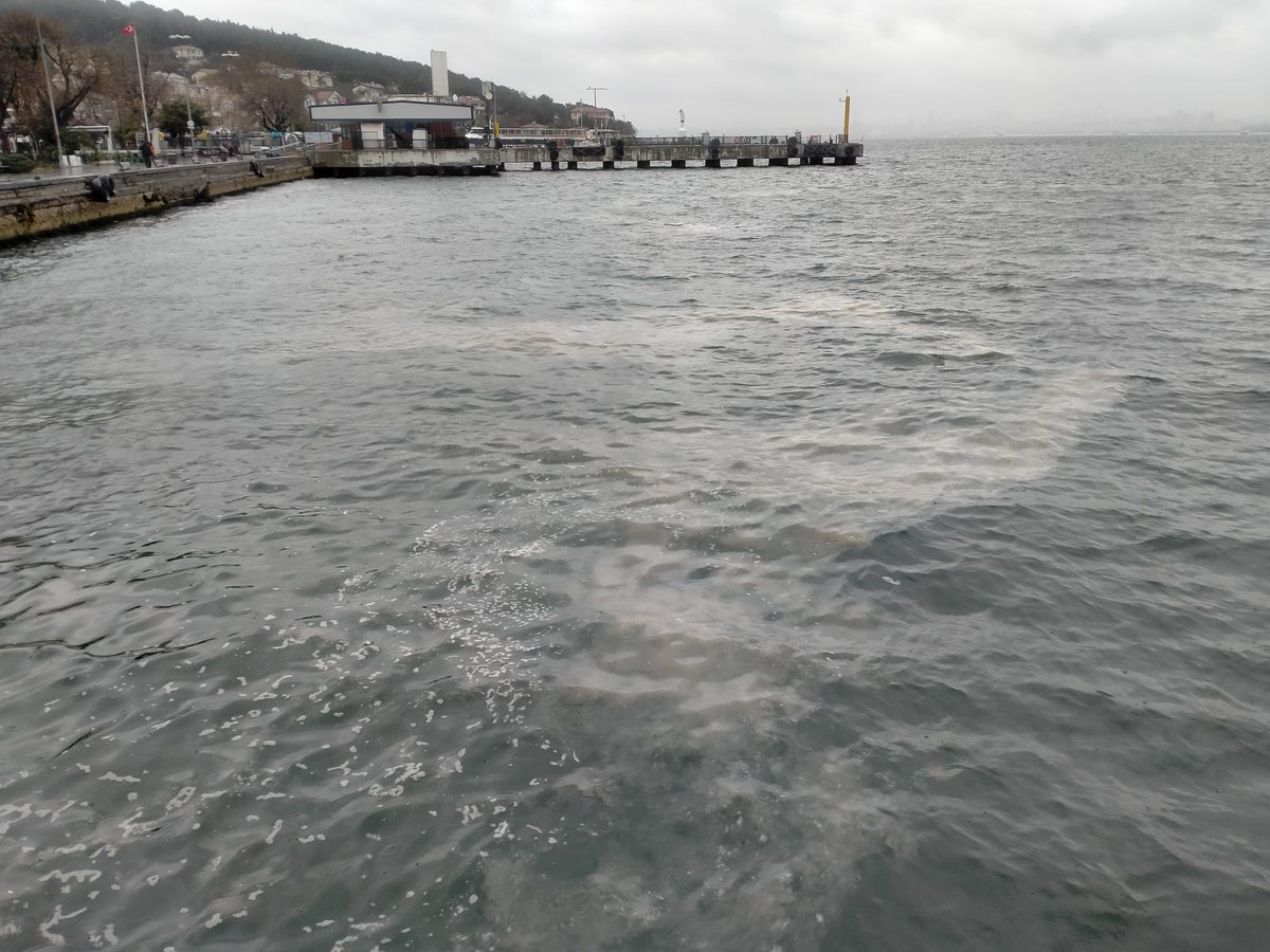 HeybeliMahalle's tweet photo. 2021'de Marmara Denizini dolduran #müsilaj geri geldi. Aylardır su altında çoğalıyordu, şimdi yüzeyde de yayılıyor. Fotoğraf bu sabah Heybeliada'dan.

Deniz 'alıcı ortam' değil. Atık su arıtılıp yeniden kullanılmalı. Kağıt üstünde değil gerçek denetim şart @csbgovtr @marmarabb https://t.co/UckqkUISD9