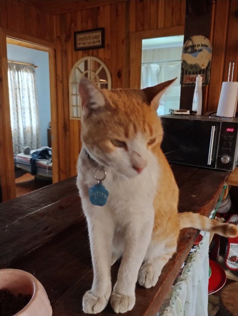 Sotito, el legado tweet media