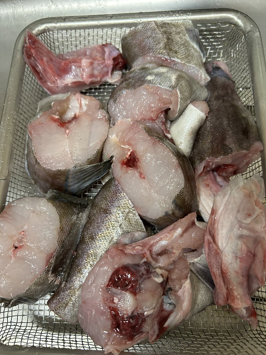 hitossan7090e's tweet photo. 1本650円のタラでパーティー🥳🐟

#真鱈 https://t.co/wTHCfM3JrG