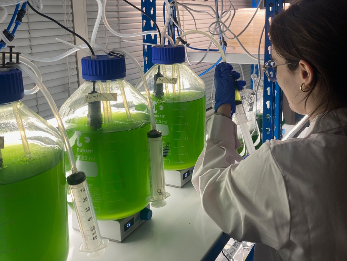 CIT_UPC's tweet photo. The GEMMA Group - @la_UPC leads the #PROALGAE project.
➡️ It aims at producing new alternative proteins from biomass derived from microalgae and cyanobacteria cultivated using by-products from the agri-food industry. #SustainableFood #CircularEconomy
🔗 https://t.co/j7AYQJUHxm https://t.co/qBJ26BJXOp
