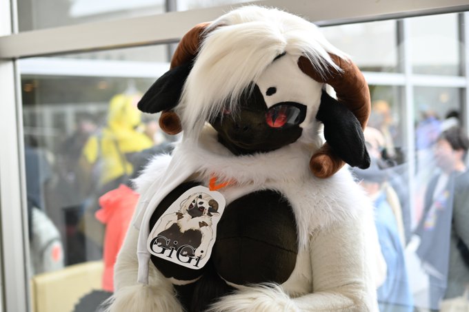 ジジさん #JMoF2025 