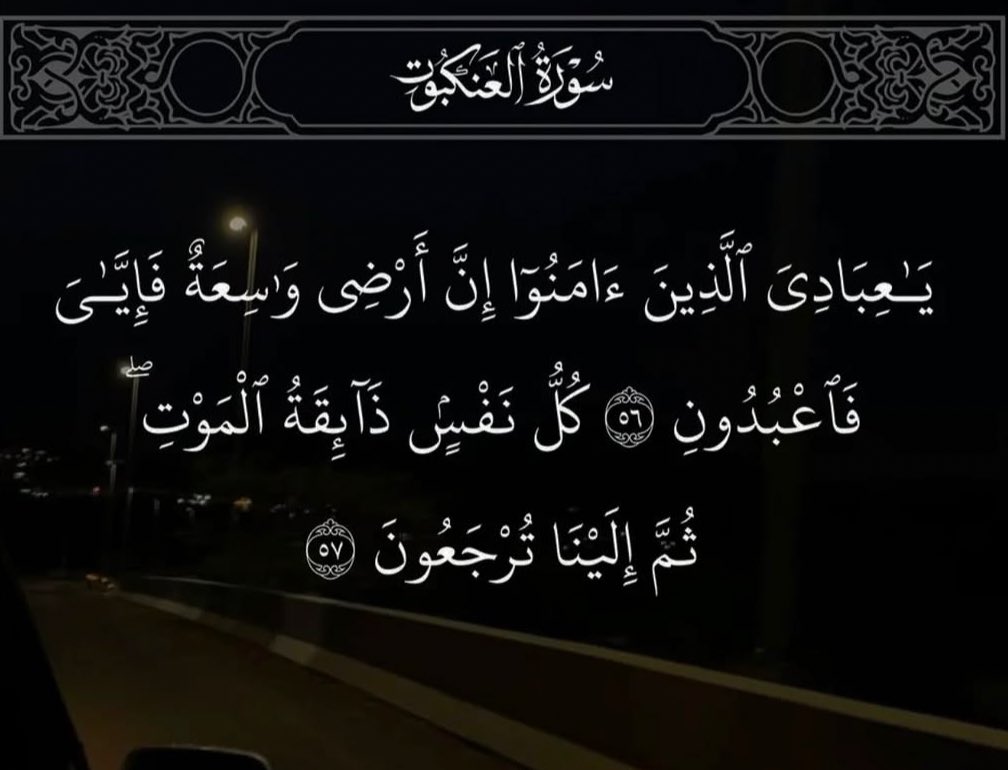 biadhThlj's tweet photo. #اسطول_زعماء_تويتر 
#عطر_التغريدات https://t.co/Z1C9Vsem49
