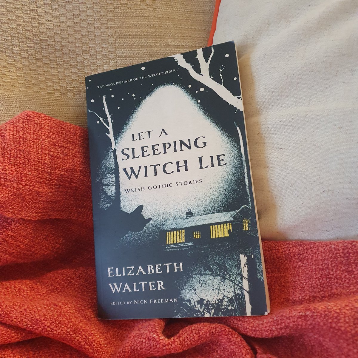 SerenBooks's tweet photo. Looking for a new book to get you through the January blues? ‘Let a Sleeping With Lie’ by Elizabeth Walter is the perfect winter read. Available online and in bookshops now https://t.co/KAjl9pFbjz https://t.co/YbTUA2rY8r