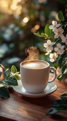 ReallyMysterio1's tweet photo. Good morning friends - have a great day☕️💚💚💚 @Gloria_Lynn @BreakingKind @LaurieR_BeKind @NerdyGretel @KaraBB11 @kundalini0424 @JRMcK913 @NusbaumVirginia @DPGRAY1962 @Vuyo99 @ohiovoter4145 @markclose @nicoleshodges @BallardBel97324 @faust_gail @jutwn @DDstarbucks @Democracy631 https://t.co/Fu25ntNrRw