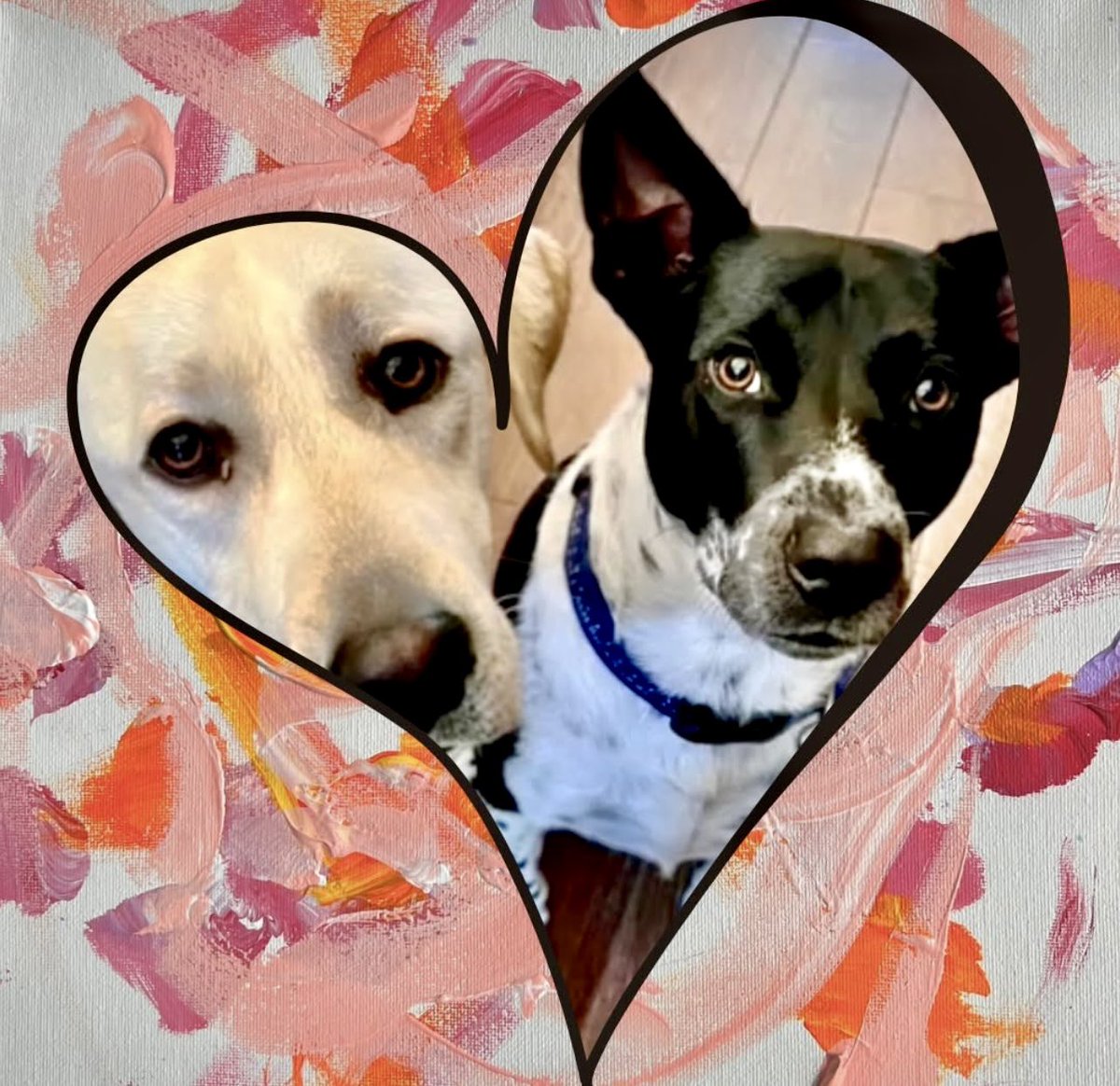 yayatomdagger3's tweet photo. Message of the day: Suddenly you know that it's time to begin a new week
with so many opportunities awaiting for us to explore and show how simply PAWsome we are!! Let's get going!!
#NewWeek #LetsGetGoing #YouArePawsome #youcandoit https://t.co/yTfodkxYW6