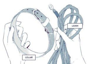 Ironically, Sensei learned that many of his pupils are into something called ' petplay '.

Curiously, he's decided to learn about this with them.

𝓒𝓵𝓲𝓬𝓴 !

The ℛeader finds themselves yanked closer by the leash.