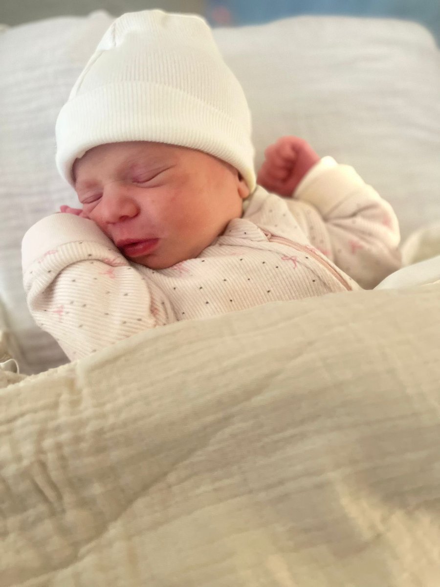 Fons Lambie tweet media