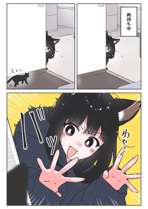 びっくり猫ちゃん(1/2) 