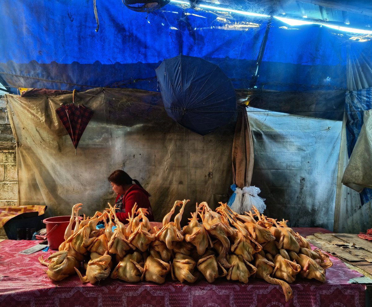 Morning market scenes, Laos