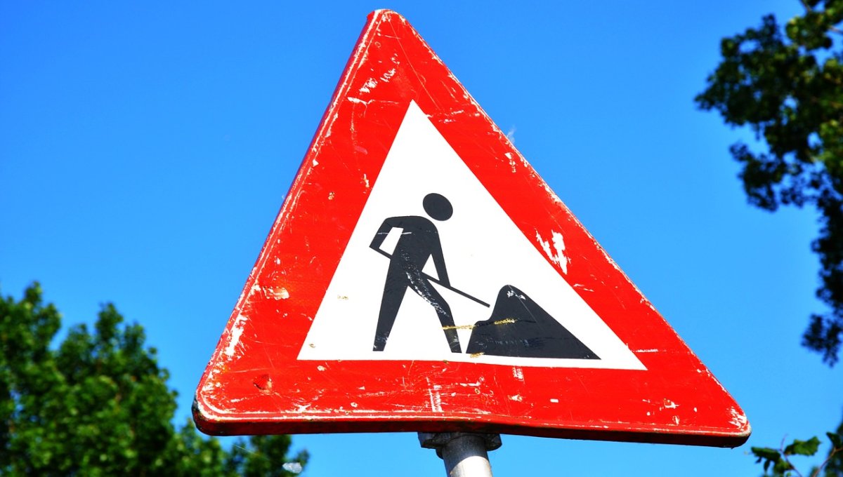 Bomenkap Oranjeboomstraat en Raadhuislaan. Lees meer via 👉 tinyurl.com/yeypte89.