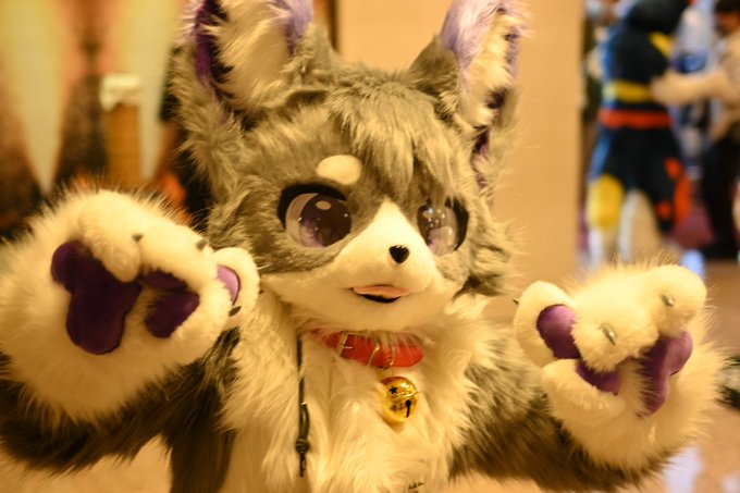 おのだちゃん #JMoF2025 