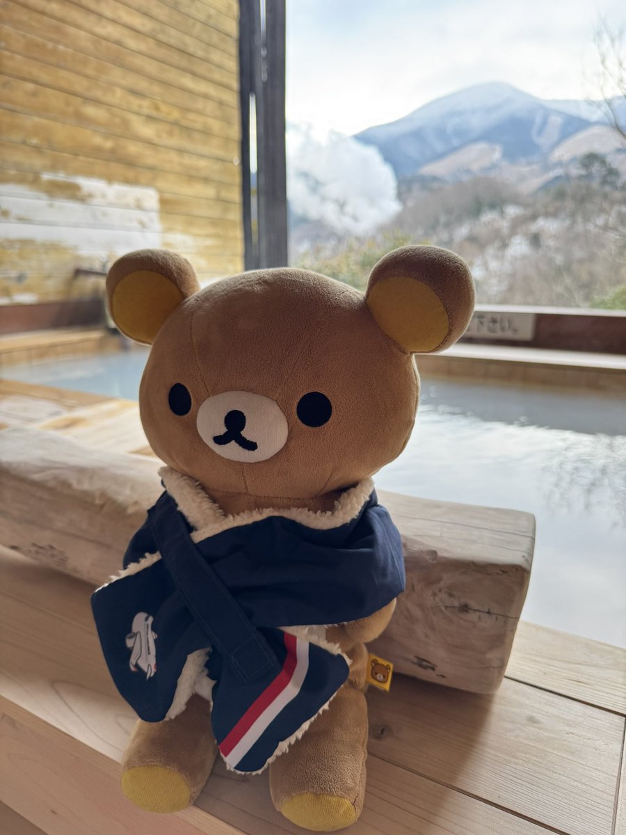 PinkTeslaJapan's tweet photo. 雪見温泉♨️
#PinkTesla #ピンクのテスラ
#リラックマと一緒 https://t.co/LzIqNldPHX