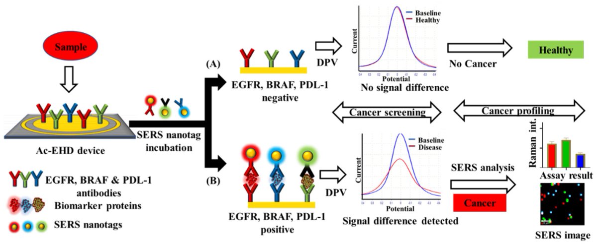 chemosens_MDPI's tweet image. Editor’s Choice
#Article
An Electrochemical and Raman Scattering Dual Detection Biosensor for Rapid Screening and Biomolecular Profiling of Cancer Biomarkers by Shuvashis Dey, et al.
doi.org/10.3390/chemos…

@MDPIOpenAccess @UQ_News
#SurfaceenhancedRamanscattering