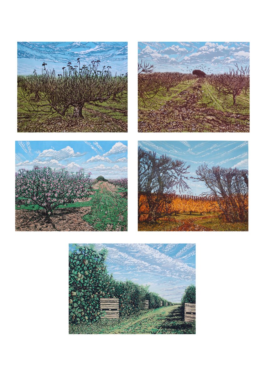 LouiseStebbing's tweet photo. A series of large linocuts of local orchards
available on my website https://t.co/hVr4WrvjbT
#orchards #linocuts #louisestebbingprintmaker https://t.co/HVVxpC2RhE